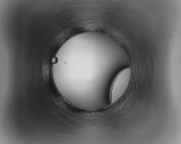 X0000099450646200805090728