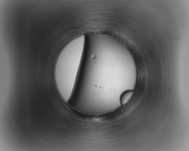 X0000099450647200805090728