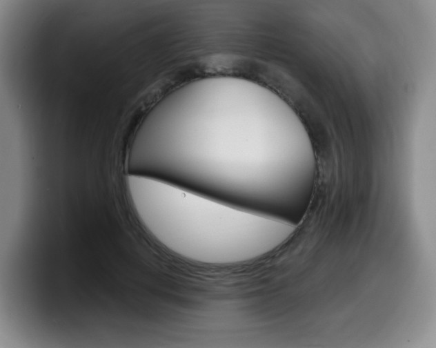 X0000099450648200805090728