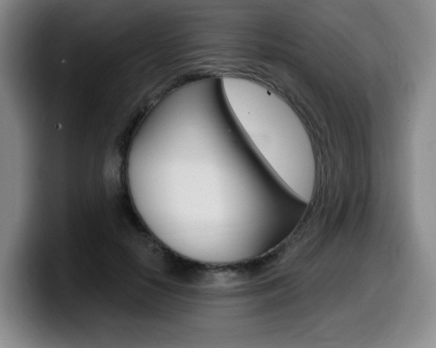 X0000099450650200805090728