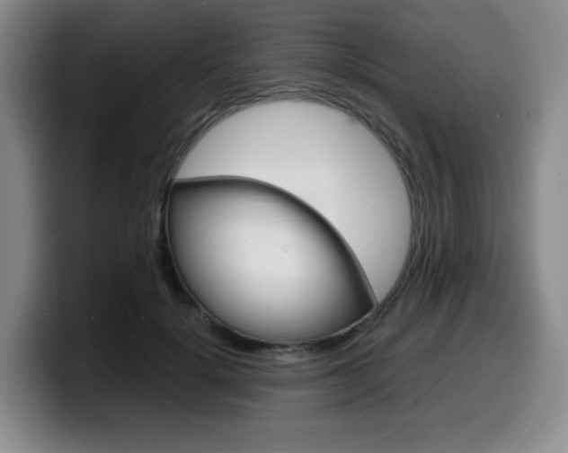 X0000099450652200805090728