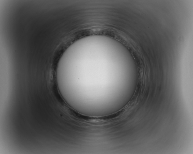 X0000099450654200805090728