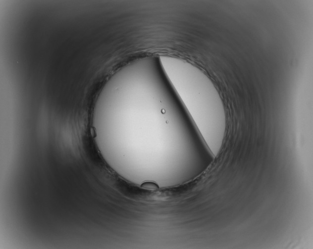 X0000099450656200805090728