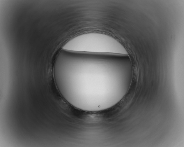 X0000099450657200805090728