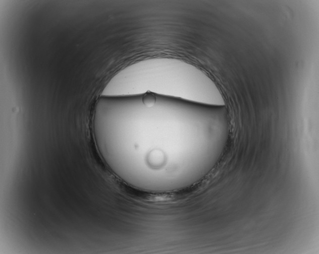 X0000099450662200805090728