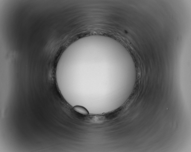 X0000099450663200805090728