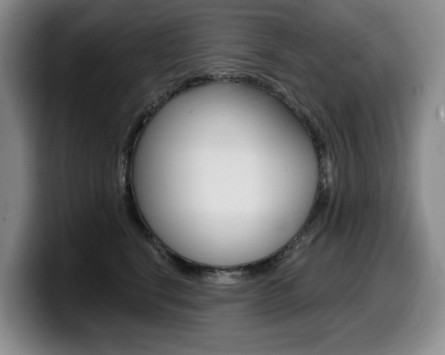 X0000099450664200805090728