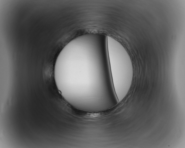 X0000099450665200805090728