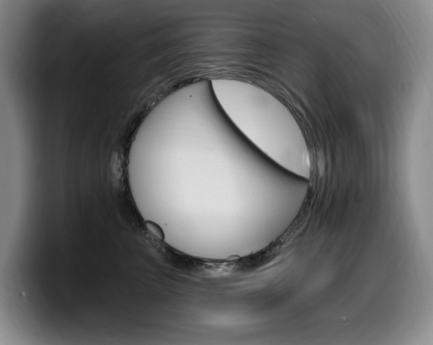X0000099450667200805090728