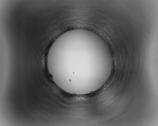 X0000099450668200805090728