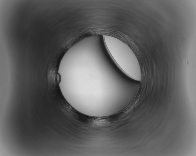 X0000099450669200805090728