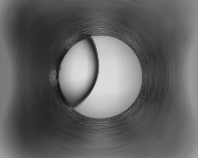 X0000099450670200805090728