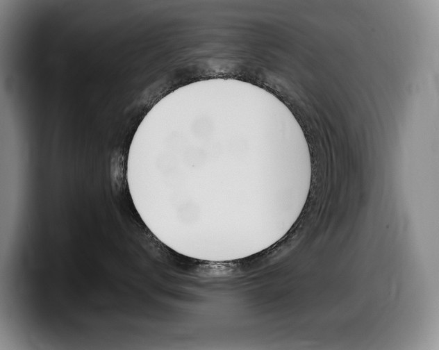 X0000099450672200805090728