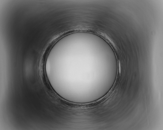 X0000099450675200805090728