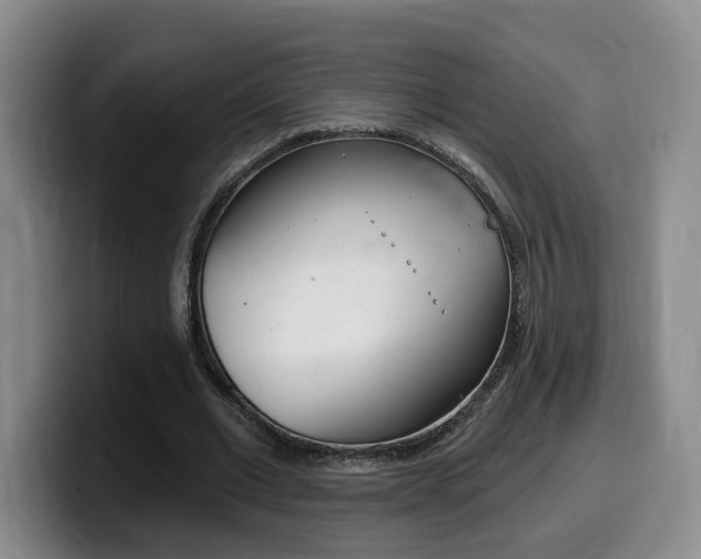 X0000099450677200805090728