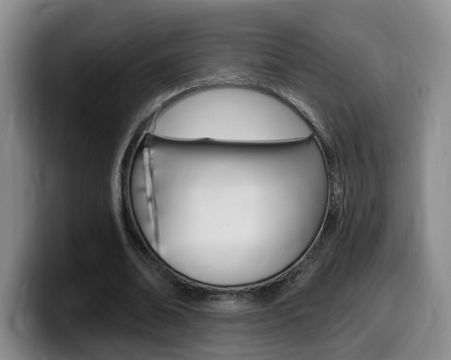 X0000099450678200805090728
