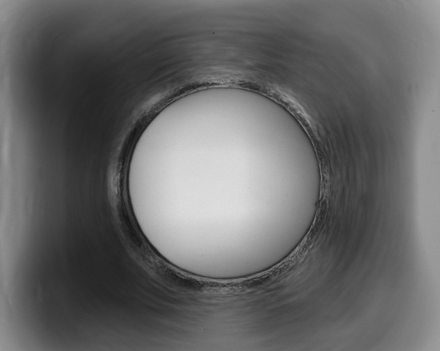 X0000099450679200805090728