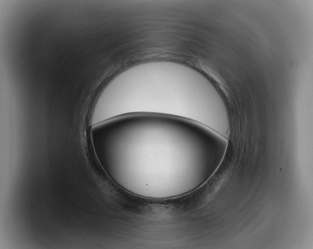 X0000099450681200805090728