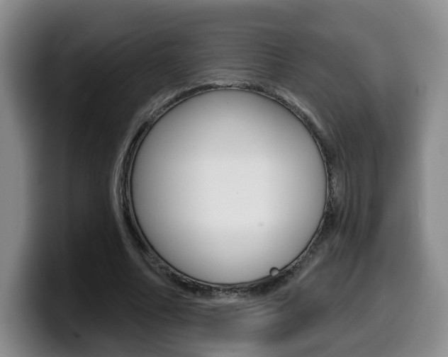 X0000099450682200805090728