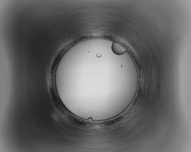 X0000099450683200805090728