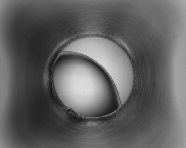 X0000099450684200805090728