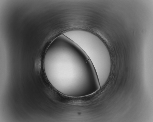 X0000099450685200805090728