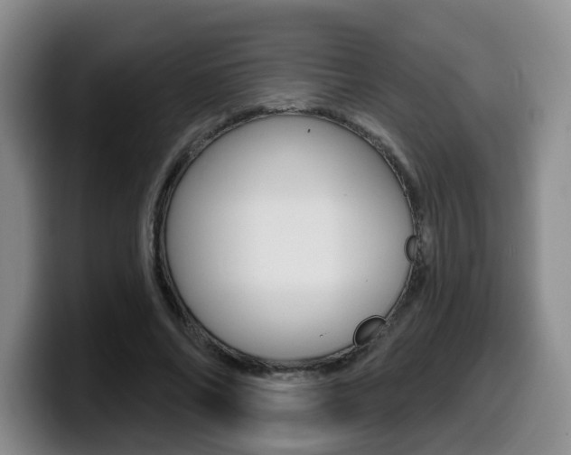 X0000099450686200805090728