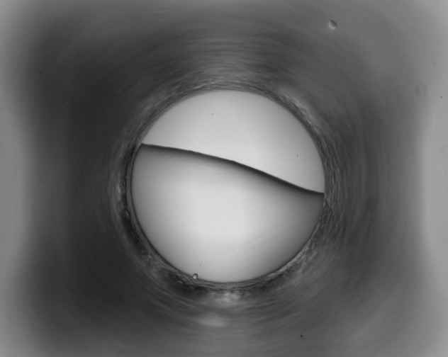 X0000099450687200805090728