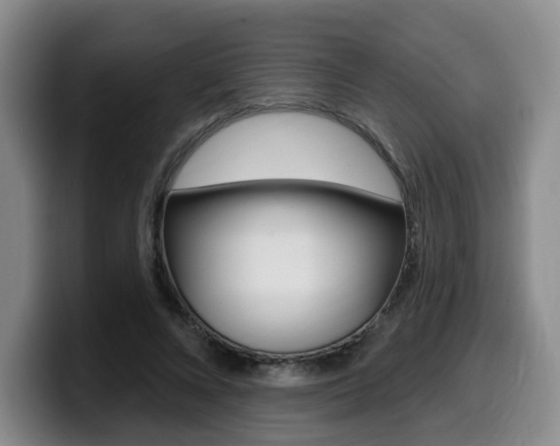 X0000099450688200805090728