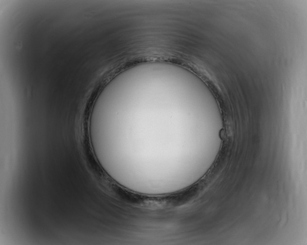 X0000099450690200805090728
