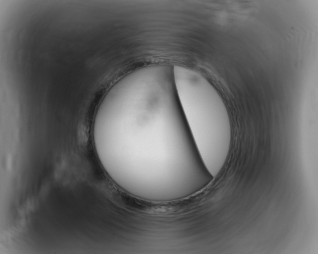 X0000099450691200805090728