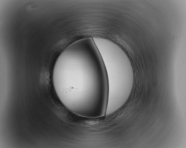 X0000099450693200805090728