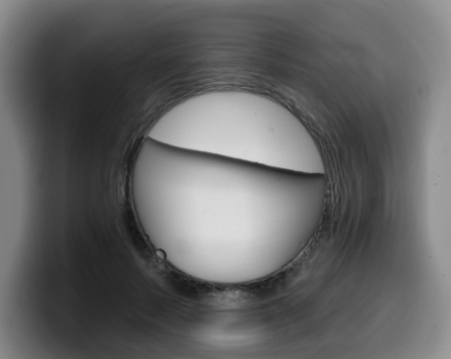 X0000099450695200805090728