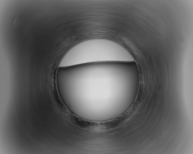 X0000099450696200805090728