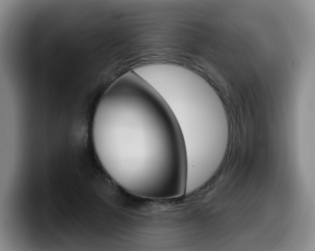 X0000099450697200805090728