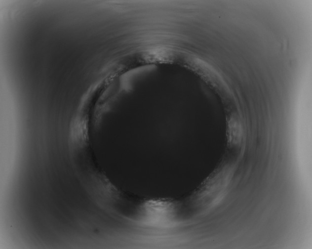 X0000099450699200805090728