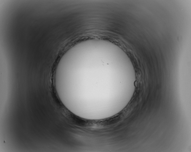 X0000099450702200805090727