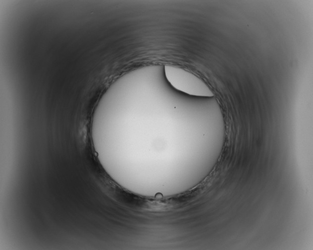 X0000099450703200805090727