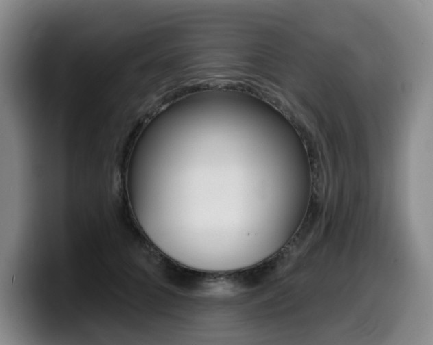 X0000099450704200805090727