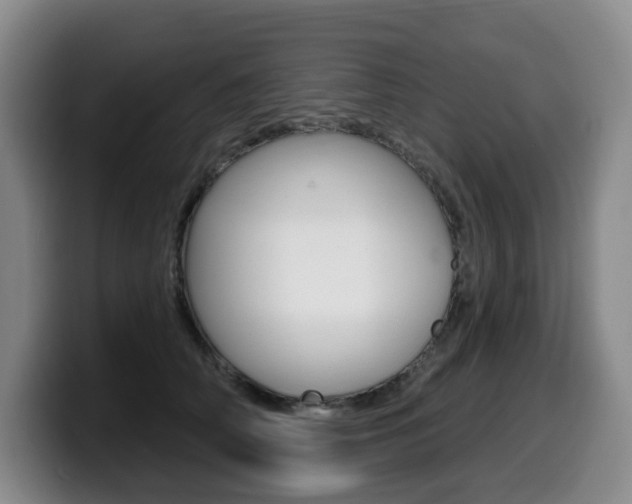 X0000099450706200805090727