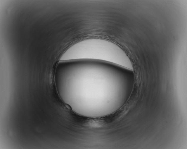 X0000099450708200805090727