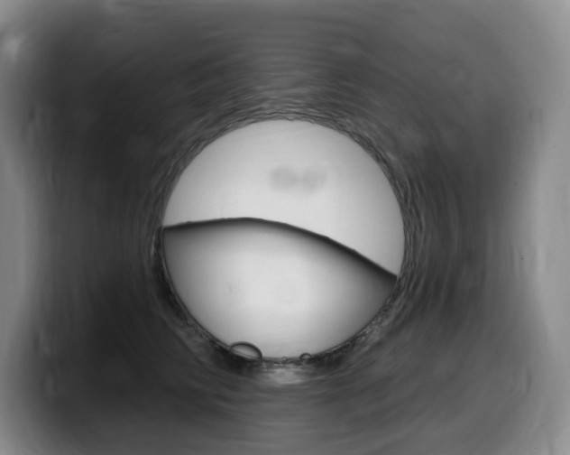 X0000099450710200805090727