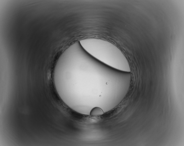 X0000099450711200805090727