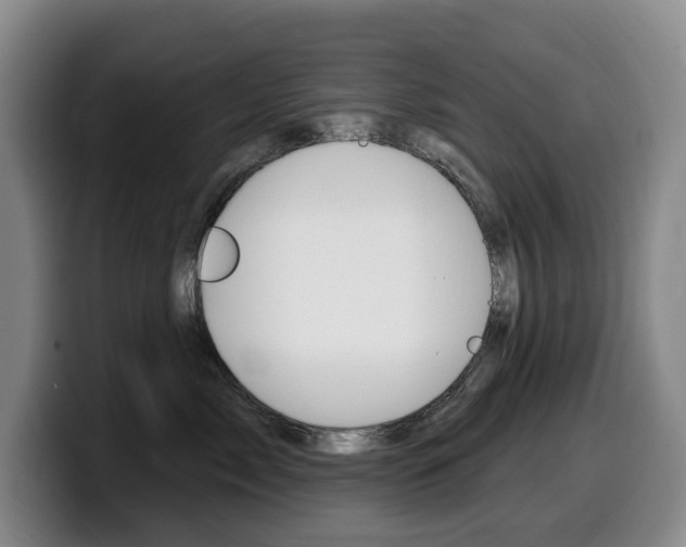 X0000099450717200805090727