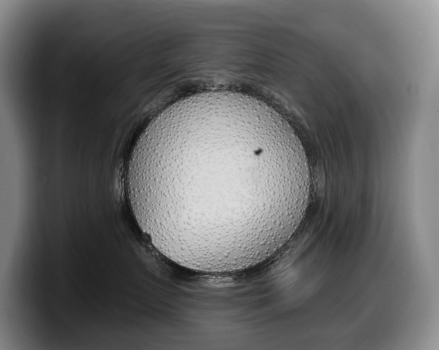 X0000099450719200805090727