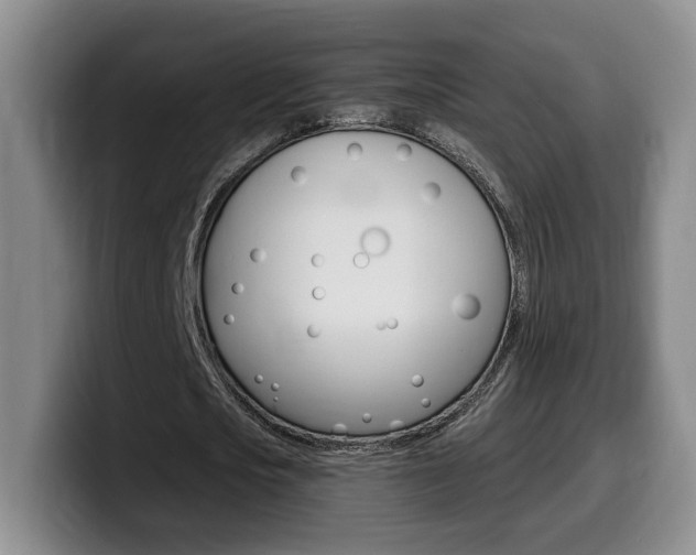 X0000099450721200805090727