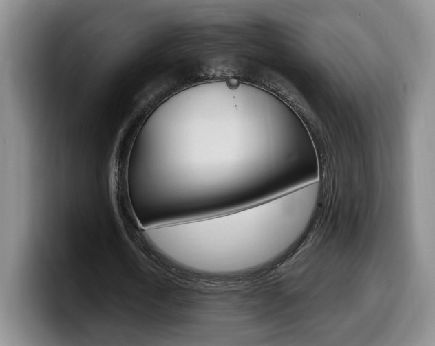 X0000099450722200805090727