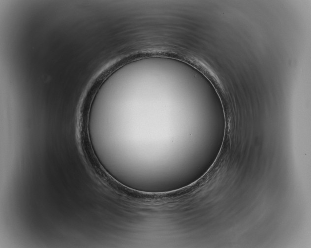 X0000099450724200805090727