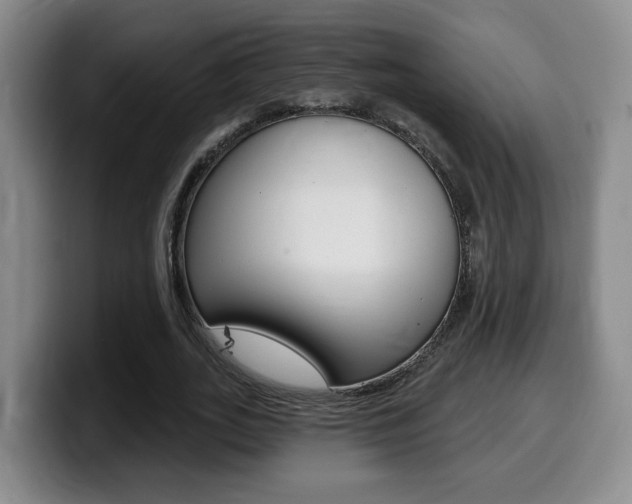 X0000099450727200805090727