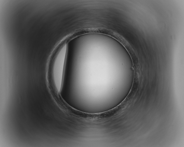 X0000099450728200805090727